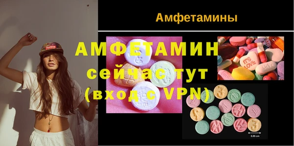 мет Алексин
