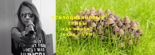 амф Алексеевка