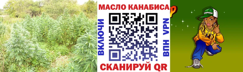 где купить наркотик  Белозерск  Дистиллят ТГК THC oil 