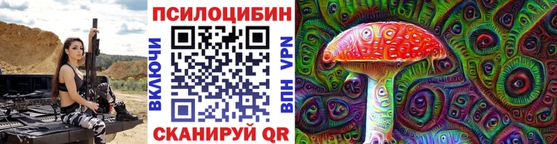 Псилоцибиновые грибы Psilocybe  Белозерск 